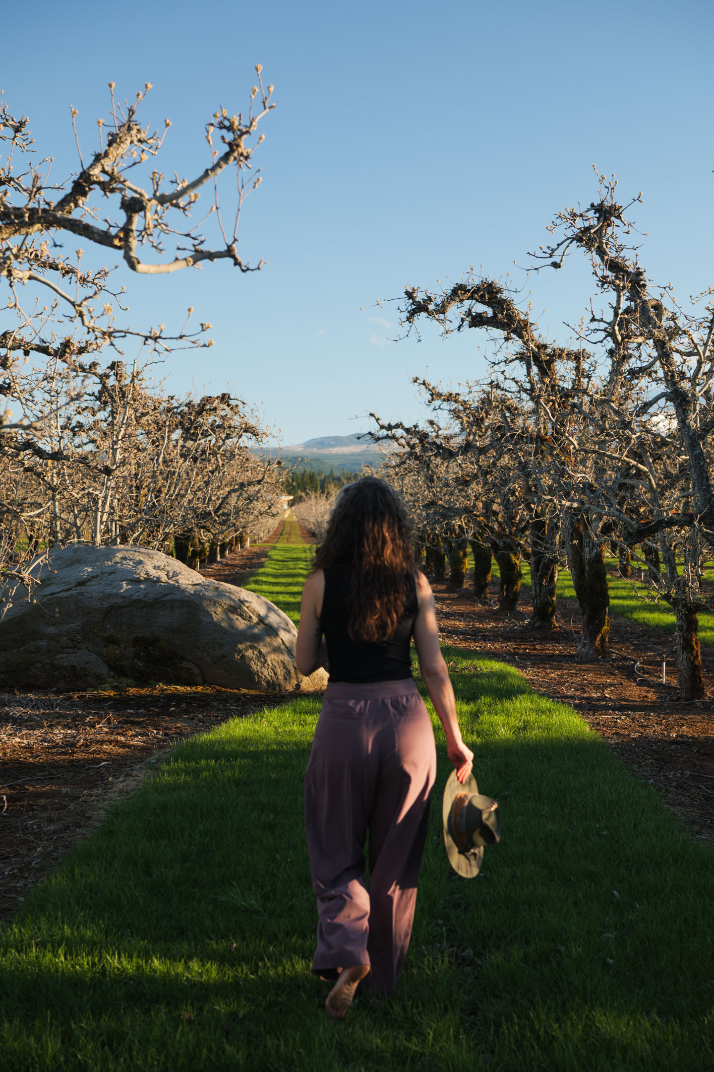 Kate Ensor walking through an orchard at golden hour