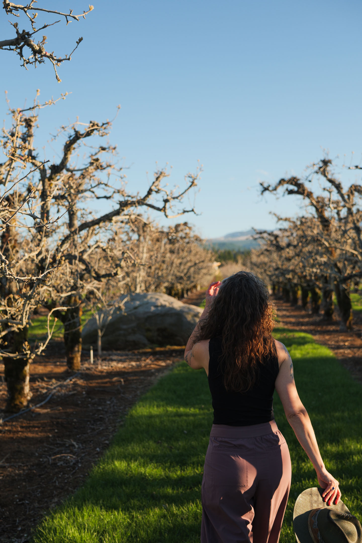 Kate walking through an orchard at golden hour