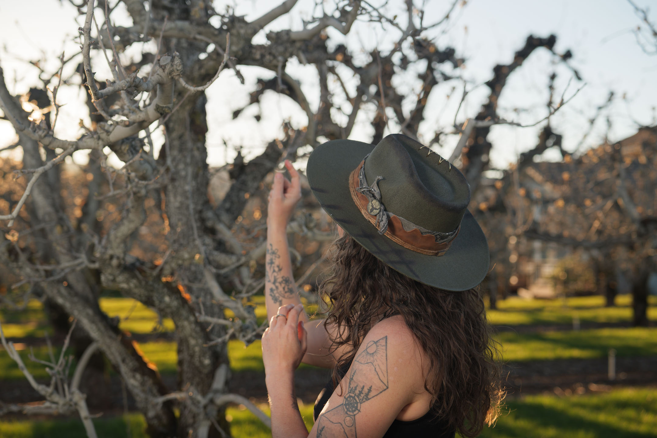 Kate Ensor reaching toward a tree in the orchard at golden hour