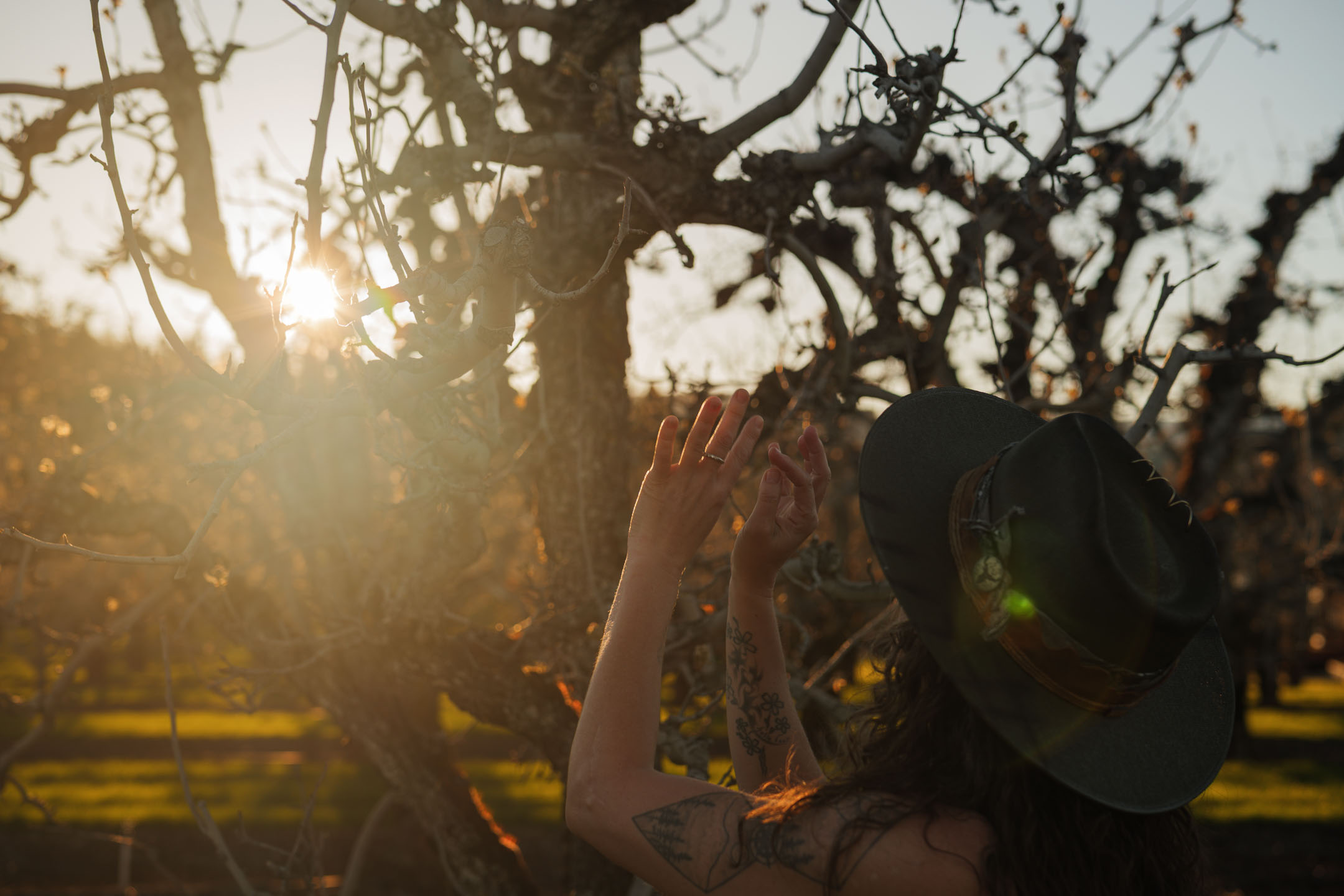 Kate Ensor with hands raised toward golden light in the orchard